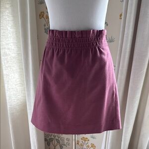 J.Crew Skirt